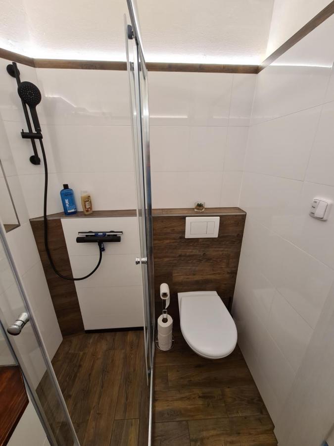 Světlý Prostorný Byt V Karlíně Apartamento